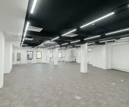 Oficiu, Centru, BOGDAN PETRICEICU HAȘDEU