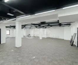 Oficiu, Centru, BOGDAN PETRICEICU HAȘDEU