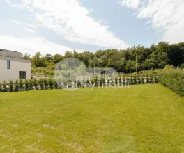 Casă, Botanica, PĂȘUNILOR