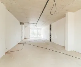 Spațiu comercial, Botanica, DACIA