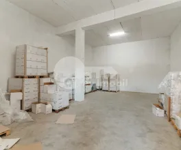 Spațiu comercial, Botanica, MUNCEȘTI