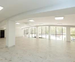 Spațiu comercial, Botanica, INDEPENDENȚEI