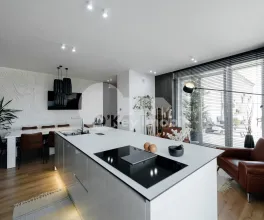 Penthouse, Ciocana, MIRCEA CEL BĂTRÂN