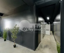 Depozit, Botanica, DACIA