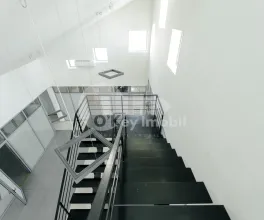 Oficiu, Centru, ALEXANDRU HÂJDEU