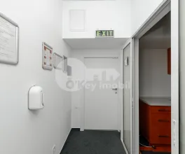 Oficiu, Centru, SFATUL ȚĂRII