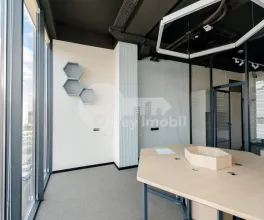 Oficiu, Botanica, CONSTANTIN BRÂNCUȘI