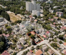 Teren, Botanica, PLAIULUI