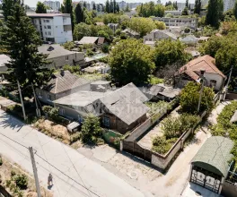 Teren, Botanica, PLAIULUI