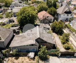 Teren, Botanica, PLAIULUI