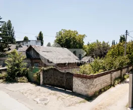 Teren, Botanica, PLAIULUI