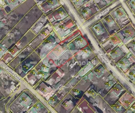 Teren, Botanica, PLAIULUI