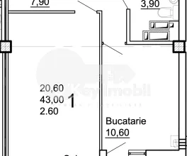 Apartament, COJUȘNA