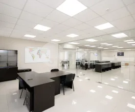 Oficiu, Botanica, DECEBAL