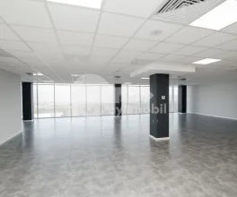 Oficiu, Botanica, BD. DACIA