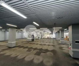 Spațiu comercial, Botanica, DACIA