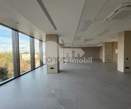 Oficiu, Centru, ȘTEFAN CEL MARE