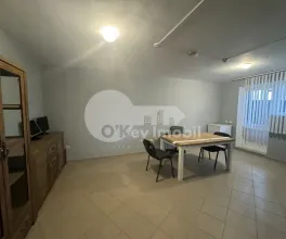 Spațiu comercial, Botanica, BUREBISTA