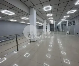 Oficiu, Botanica, CUZA VODĂ