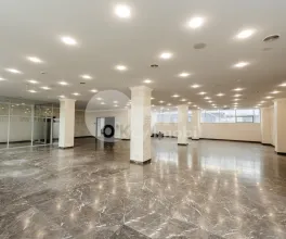 Oficiu, Centru, DIMITRIE CANTEMIR