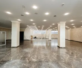 Oficiu, Centru, DIMITRIE CANTEMIR