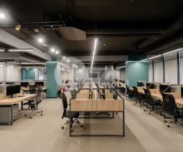 Oficiu, Botanica, CONSTANTIN BRÂNCUȘI