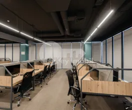 Oficiu, Botanica, CONSTANTIN BRÂNCUȘI