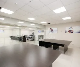 Oficiu, Botanica, DECEBAL