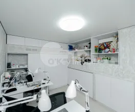 Spațiu comercial, Botanica, TEILOR