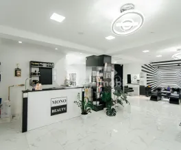 Spațiu comercial, Centru, COJOCARILOR