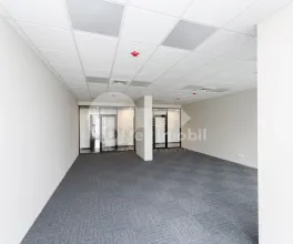 Oficiu, Centru, MIHAI VITEAZUL