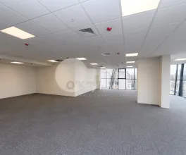 Oficiu, Centru, MIHAI VITEAZUL