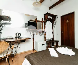 Casă, Centru, VASILE ALECSANDRI