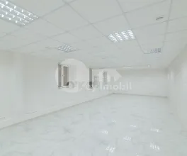 Spațiu comercial, Botanica, NIKOLAI ZELINSKI