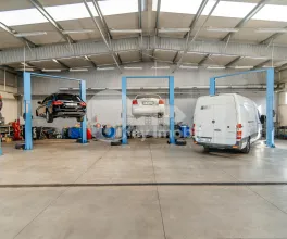 Afacere activă, BOTANICA