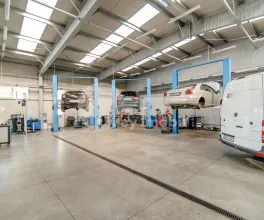 Afacere activă, BOTANICA