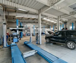 Afacere activă, BOTANICA