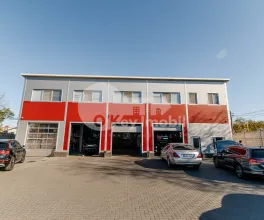 Afacere activă, BOTANICA