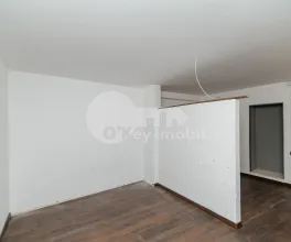 Oficiu, Centru, LĂPUȘNEANU